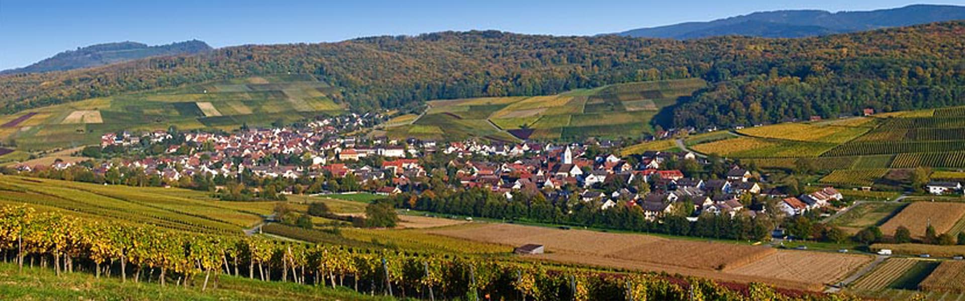 Pfaffenweiler Weinhaus